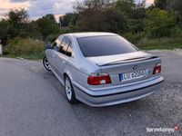 Obraz 3