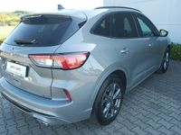 Obraz 3