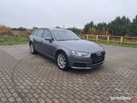 używany Audi A4 B9 190 PS S-Tronic