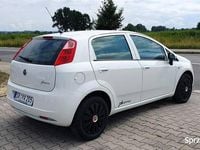Obraz 3