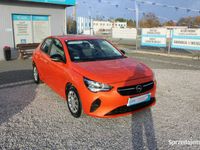 Obraz 3