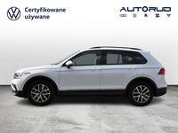 Używany VW Tiguan Life 150 KM (110 kW) 2024 Biały SUV