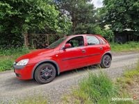 Obraz 1