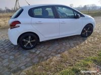 Obraz 3