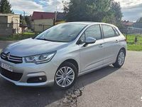 Obraz 1