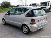 Obraz 3