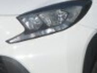 Obraz 3