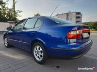 Obraz 3