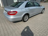 Obraz 3