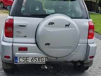 Obraz 3