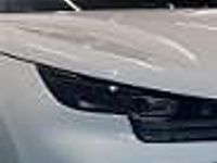 Obraz 3