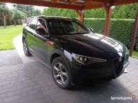 używany Alfa Romeo Stelvio 