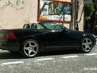 Obraz 2