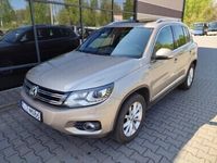 Obraz 1