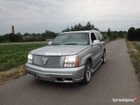 Używany Cadillac Escalade 2002 SUV