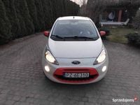 Obraz 1