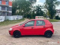 Obraz 3