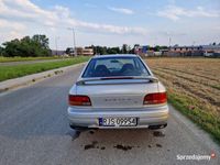 Obraz 3