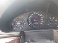 używany Mercedes E220 SprzedamCDI