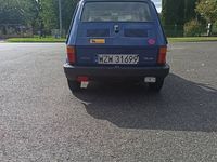 Obraz 3