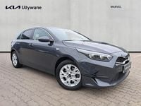 Obraz 3