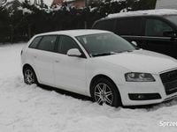 Używany Audi A3 2010 Biały Hatchback