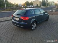 Obraz 3