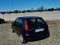 Obraz 3
