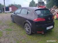 Obraz 3
