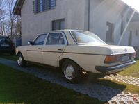 Obraz 3