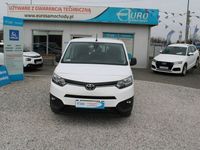 Obraz 3