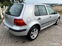 Obraz 3