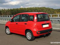 używany Fiat Panda 1.2 Klima Salon Polska 1 Właściciel Niski Przebieg Piękna