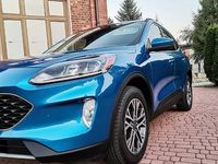 używany Ford Escape Kuga 2020r 1.5i SEL | 4x4 | Panorama | Jasna skóra | LED