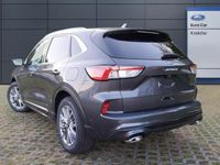 używany Ford Kuga III VIGNALE 2.0 Ecoblue 190 KM AWD Automat A8