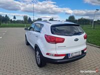 Obraz 3