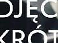 używany Toyota Yaris Hybrid III Cross 1.5 Hybrid | Comfort Style Tech FV 23%