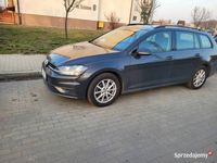 Obraz 3