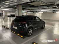Obraz 3