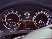 używany Skoda Rapid 2019 rok