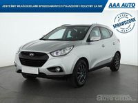 Obraz 3