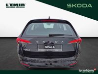 Obraz 3