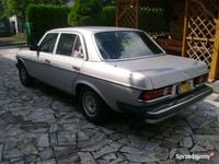 Obraz 3