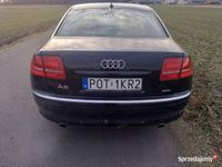 używany Audi A8 D3 3.0 TDI quattro Delikatnie uszkodzone