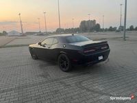 Używany Dodge Challenger SXT 305 KM (224 kW) 2017 Coupe