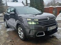 Używany Citroën C5 2021 Szary SUV