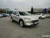 Obraz 3
