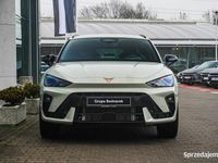 Nowe Cupra Leon 2025 Beżowy Kombi