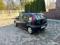 Obraz 3