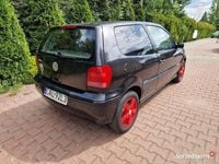 Obraz 3
